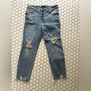 Kut from the Kloth Rachel Fab Ab Mom Jean